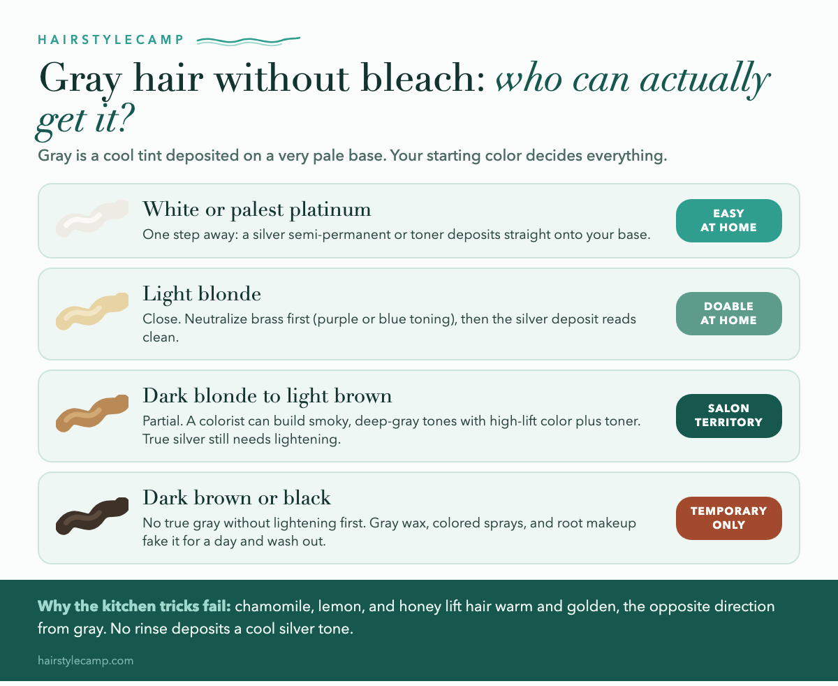 Chart showing which starting hair colors can go gray without bleach, from platinum (easy at home) to dark brown or black (temporary options only)