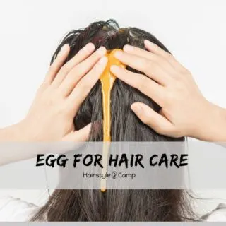 egg for hair care