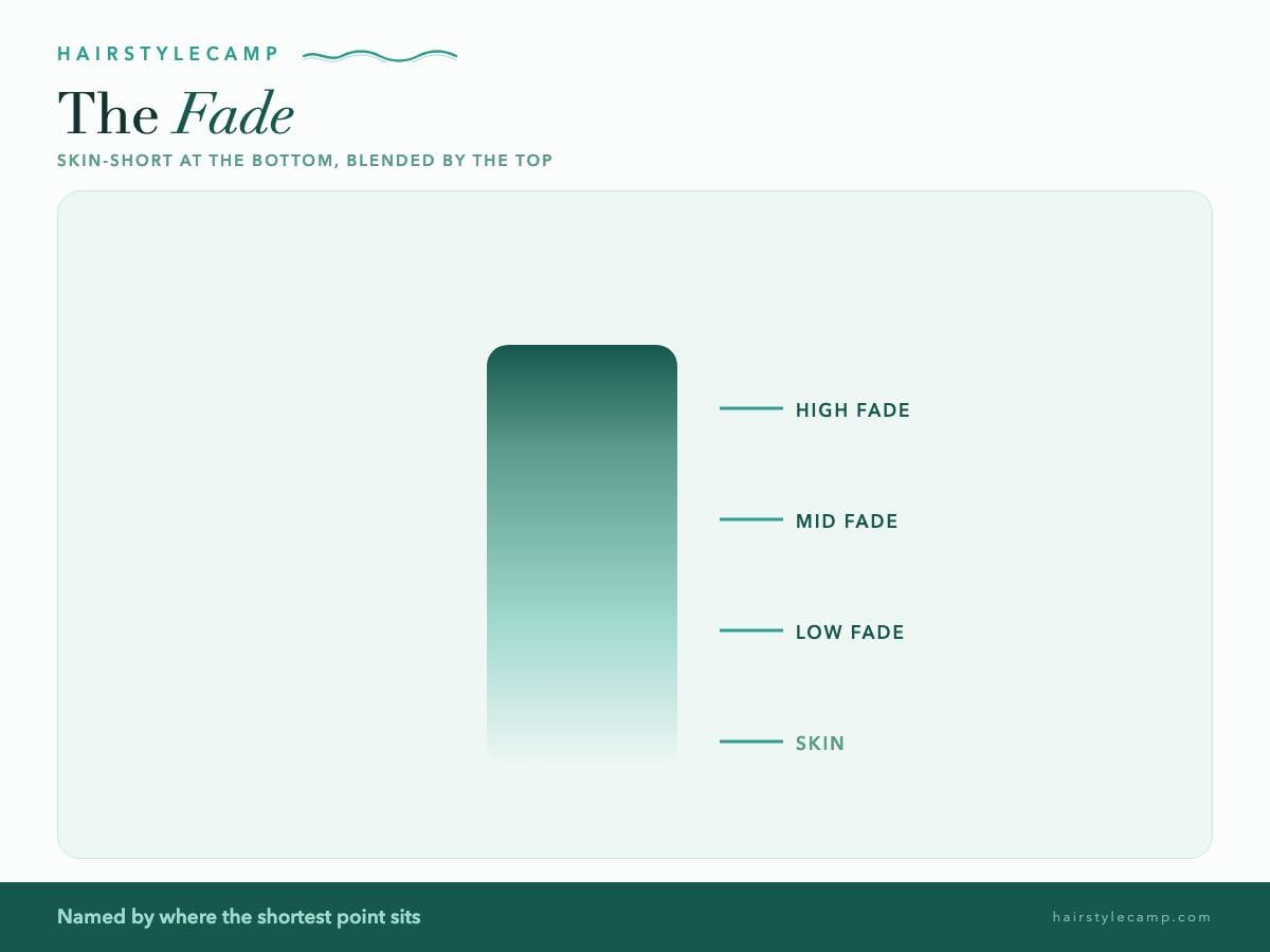 Diagram of fade haircut levels: low, mid, and high