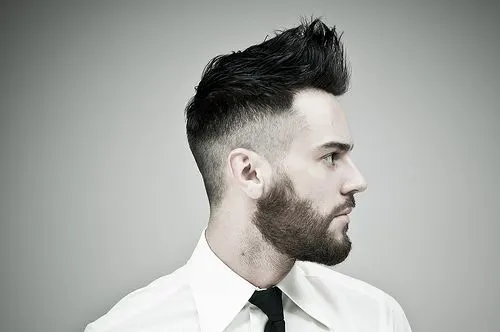 fade gentleman hairstyle with beard
