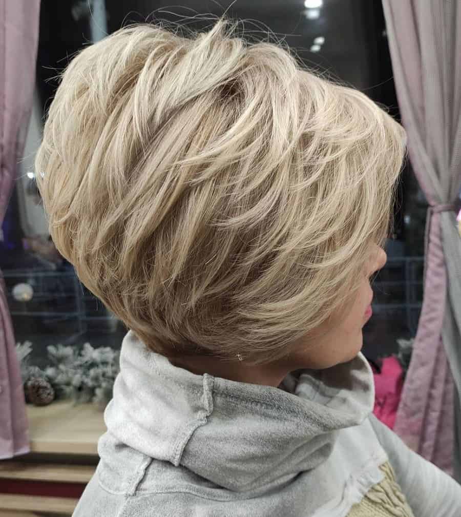 feathered pixie bob