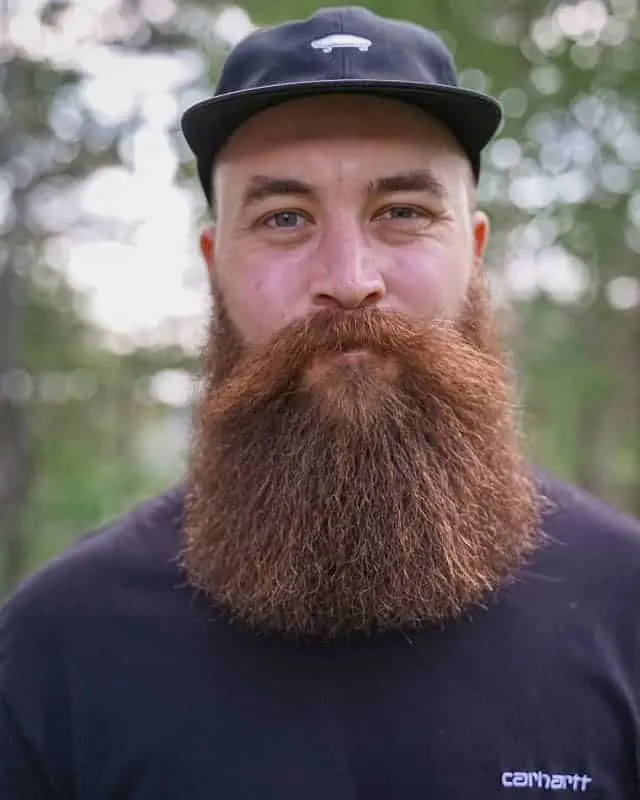 garibaldi full beard 