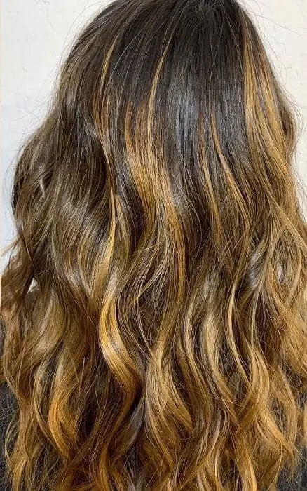 Black Hair with Golden Blonde Highlights