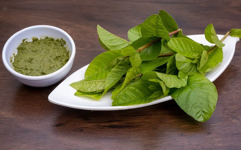 Guava Leaf for Hair: Benefits & How to Use