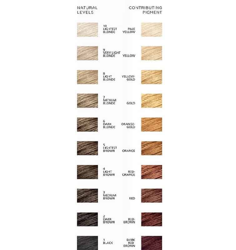 Hair Color Correction Guide, According to Pro Colorist – Hairstyle Camp