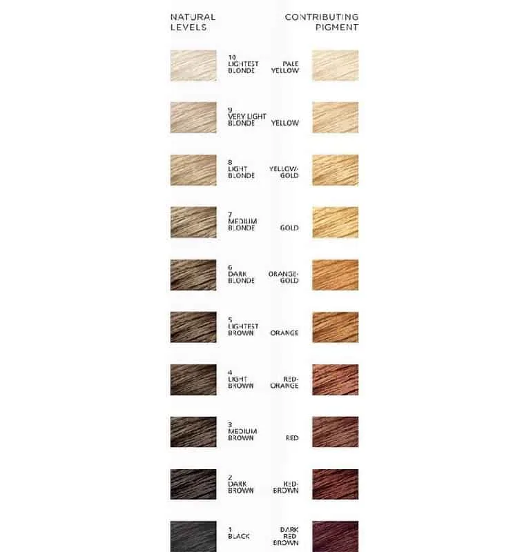 hair colouring understanding colour levels - Uniprix