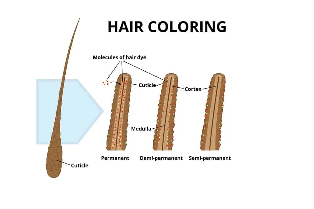 hair coloring effects on hair