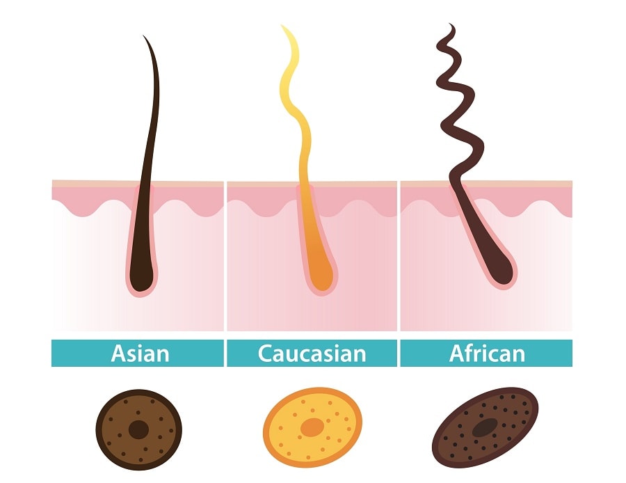 hair ethnicity types