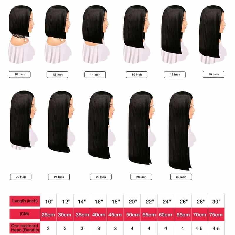 Hair Length Guide / Hair Extension Length Guide Youth Beauty Hair