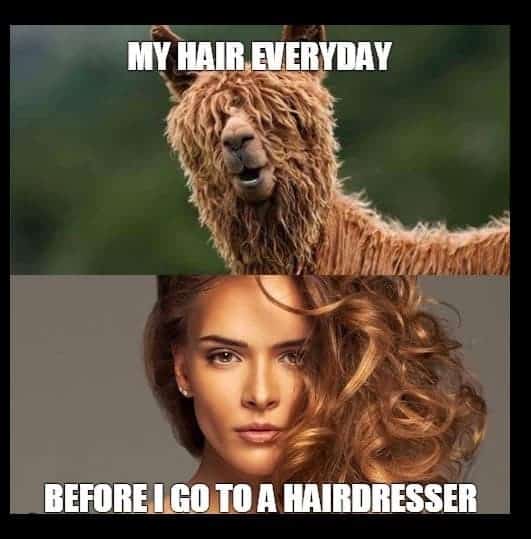 meme about hair