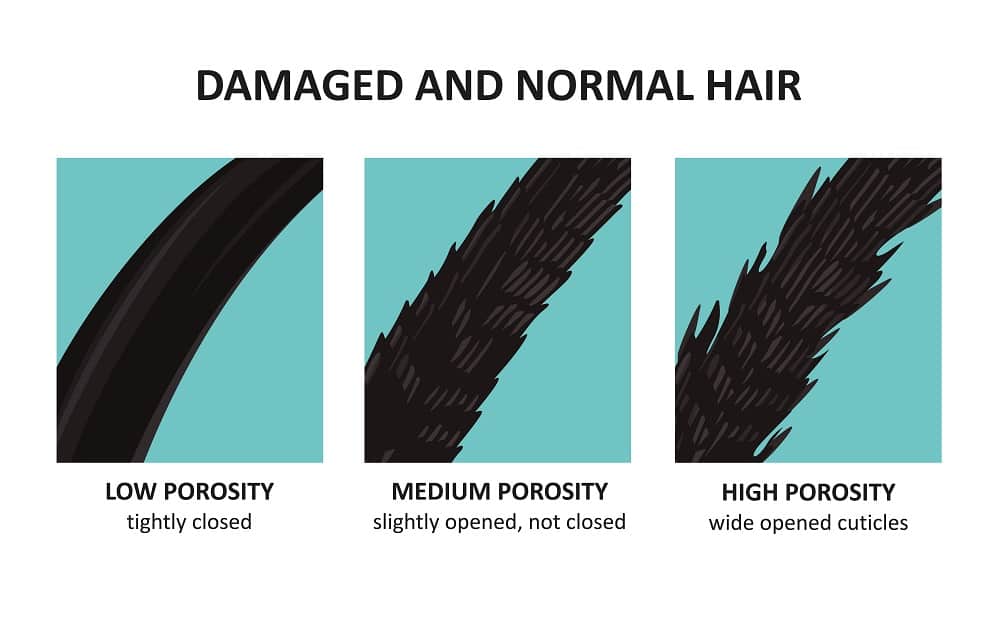 hair porosity type