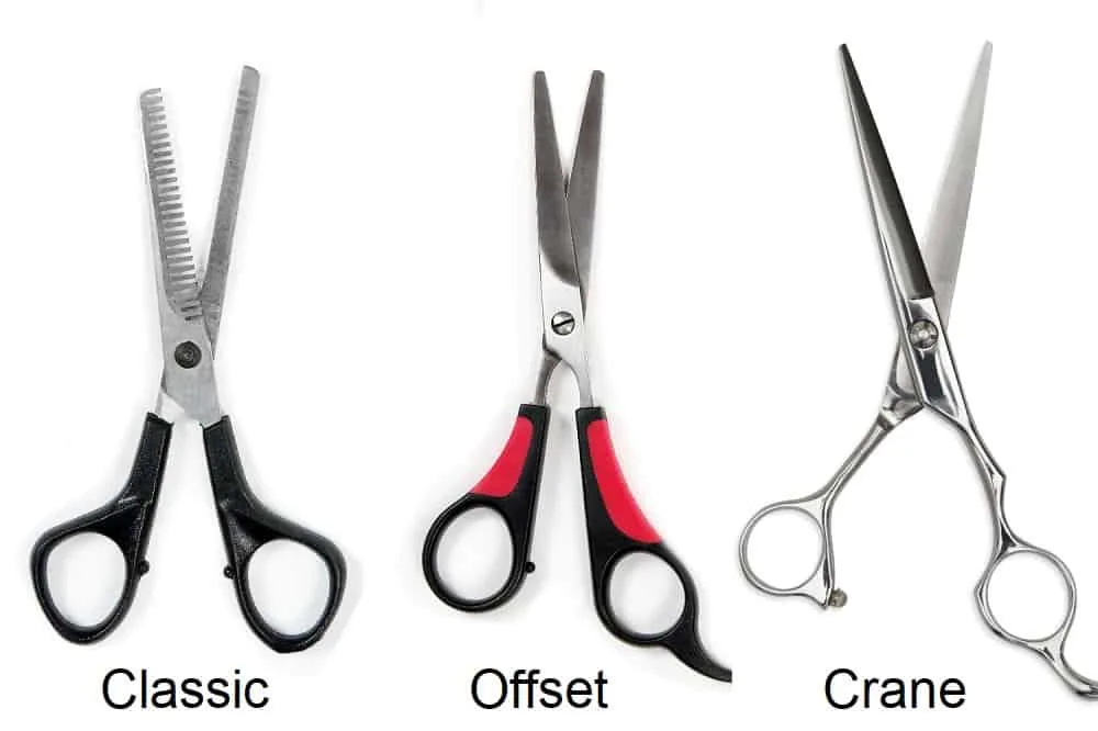 6 Different Types of Hair Cutting Scissors and Their Uses – HairstyleCamp