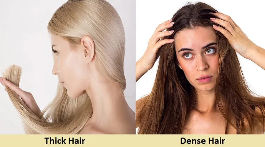 How to Know If You Have Thick Hair – Hairstyle Camp