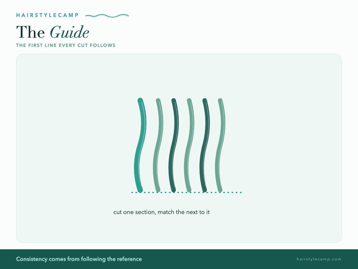 Diagram of a guide: the first reference line of a haircut