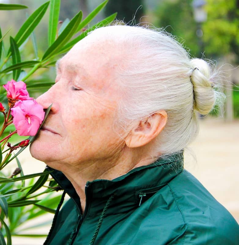 hairstyle for women over 70