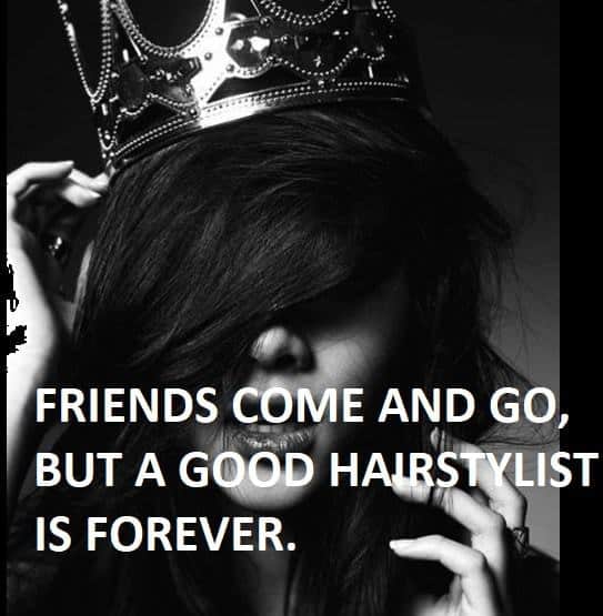 50 Of The Best Hairstylist Quotes Memes Hairstylecamp