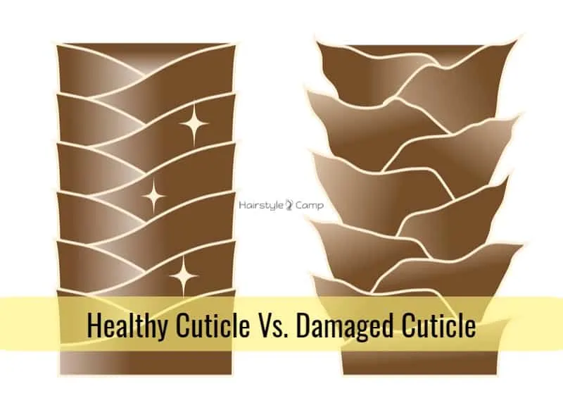 healthy hair cuticle vs damaged hair cuticle