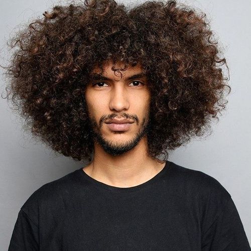 Men Hair Highlights on Curly Hair