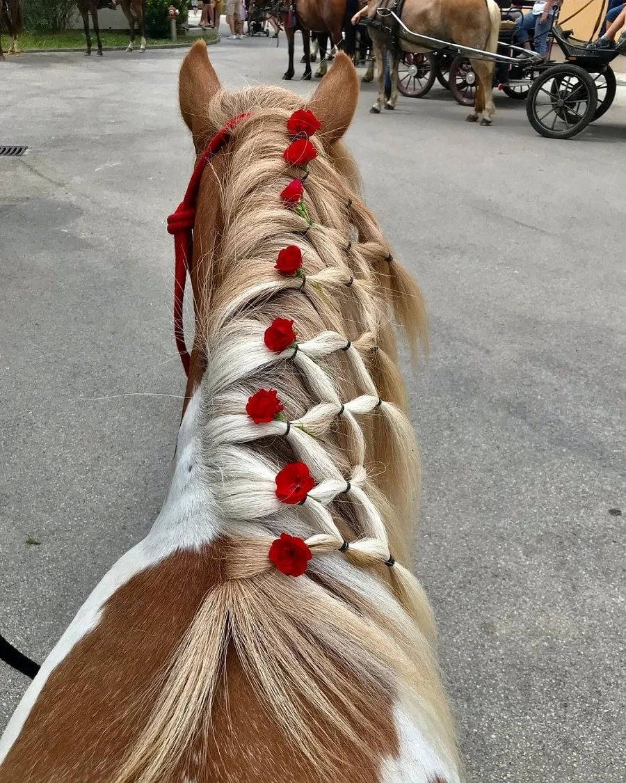 horse mane braids with accessories