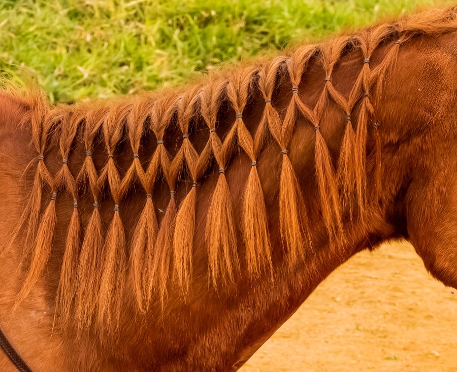 horse mane diamond braids