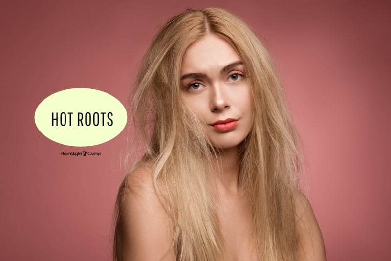 hot roots