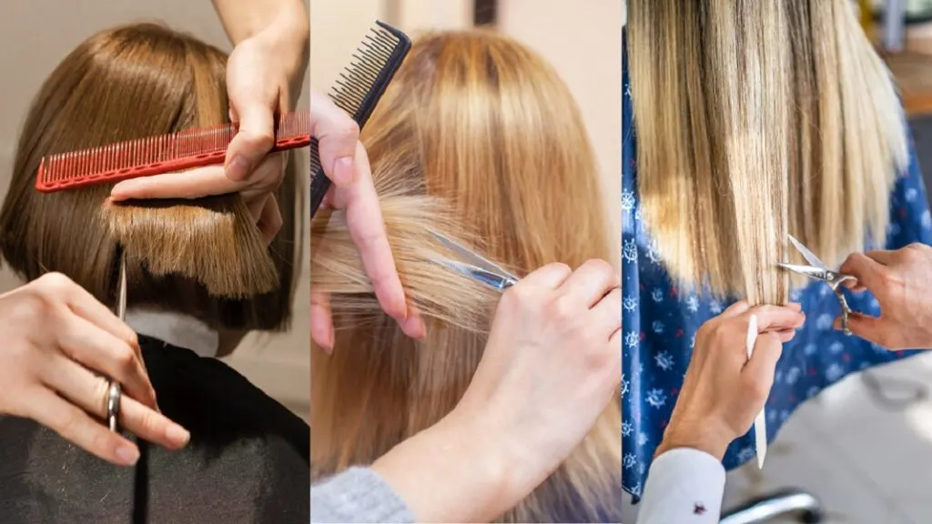 how often to cut hair for different lengths