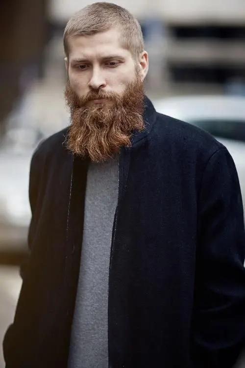Wavy Beard with curly