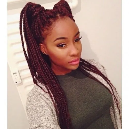 double up pony style women individual braids 