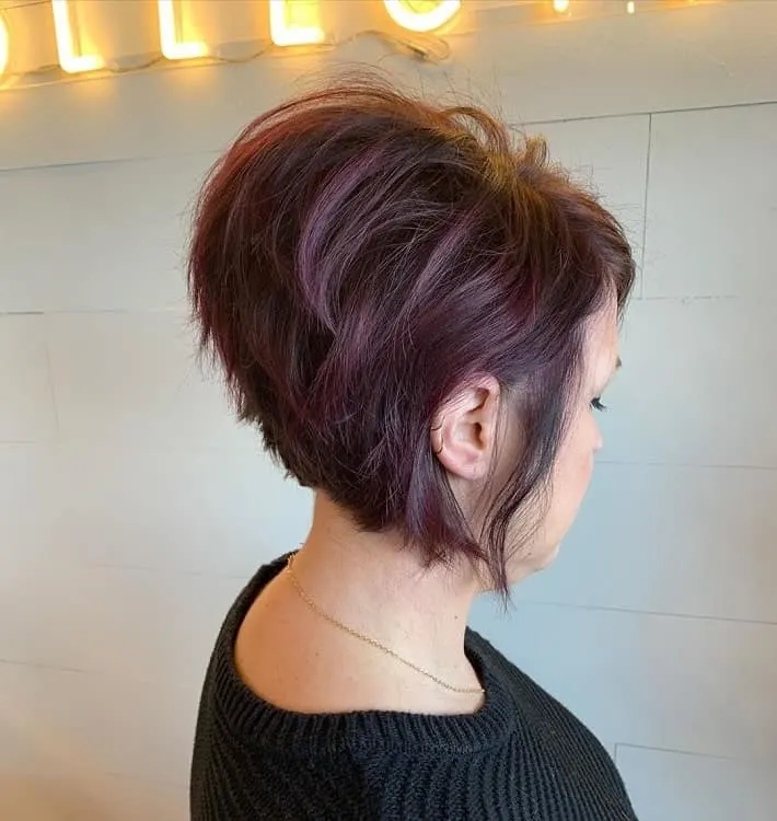 Inverted Pixie Bob