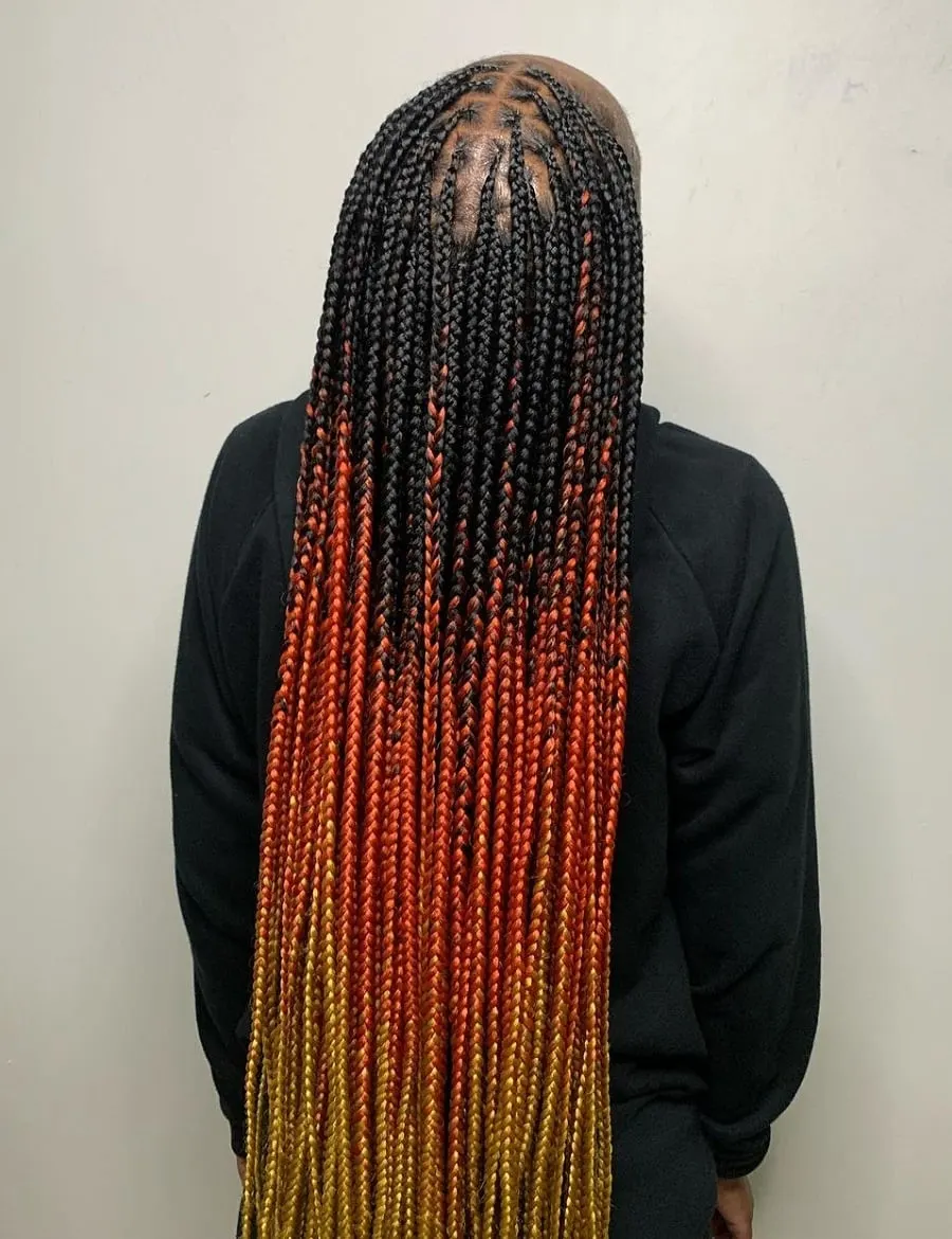 knotless braids with ombre color