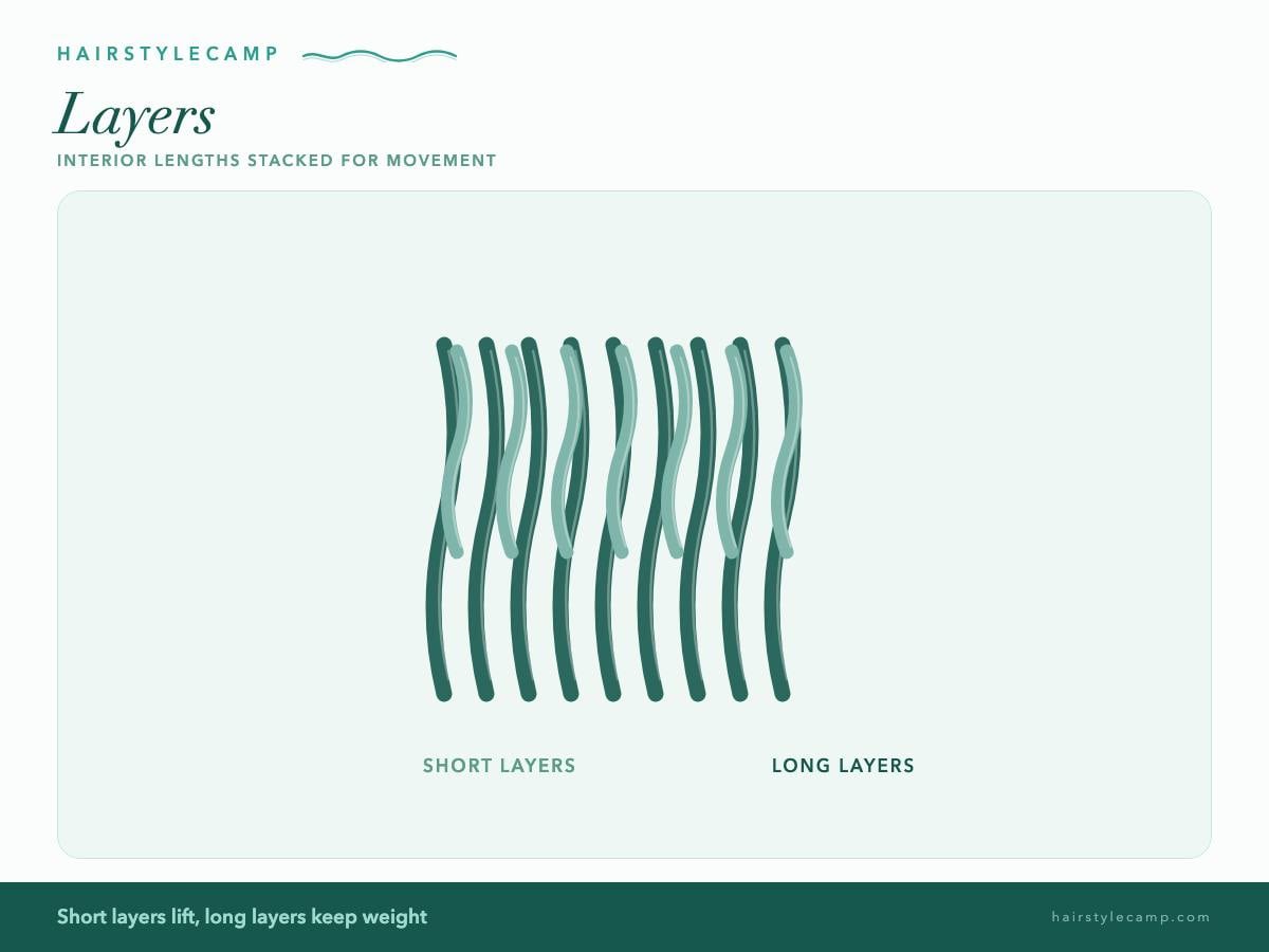 Diagram of long and short layers through the interior of a haircut