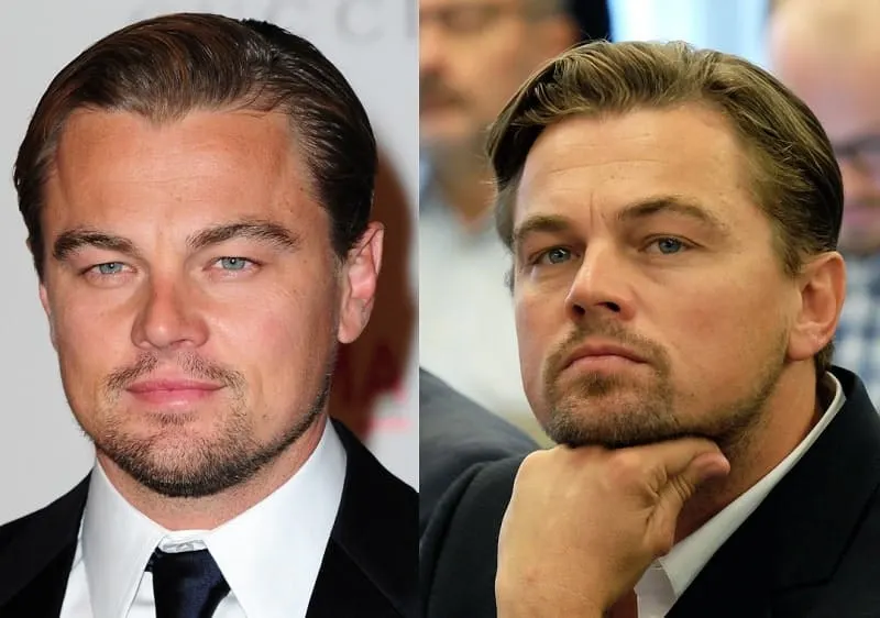 Leonardo DiCaprio's goatee with mustache attached