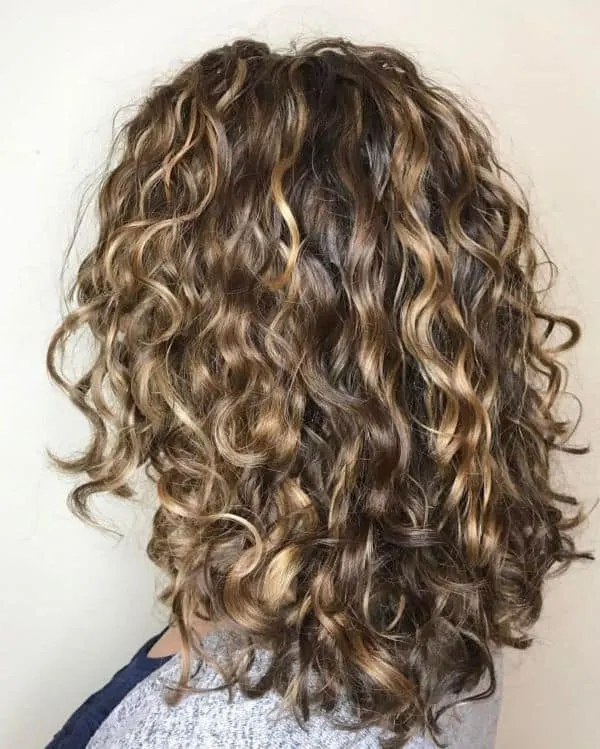 Light Brown Curly Hair with Blonde Highlights