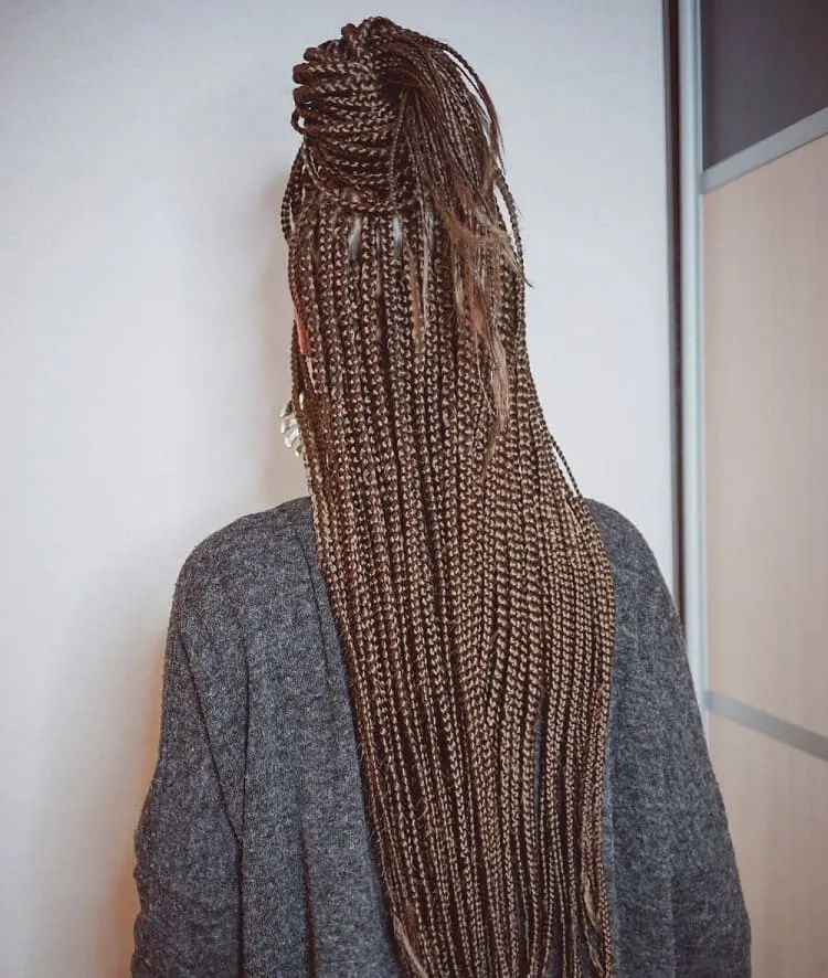 long brown box braids