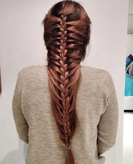 french braided long Indian hairstyle