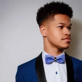 low fade afro hairstyle