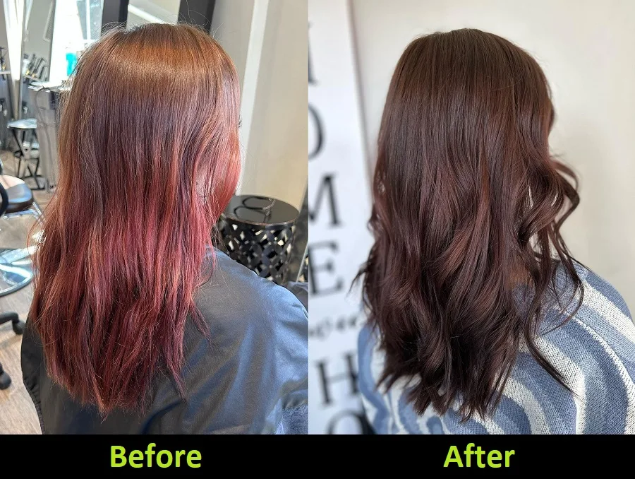 pink hair to brown hair