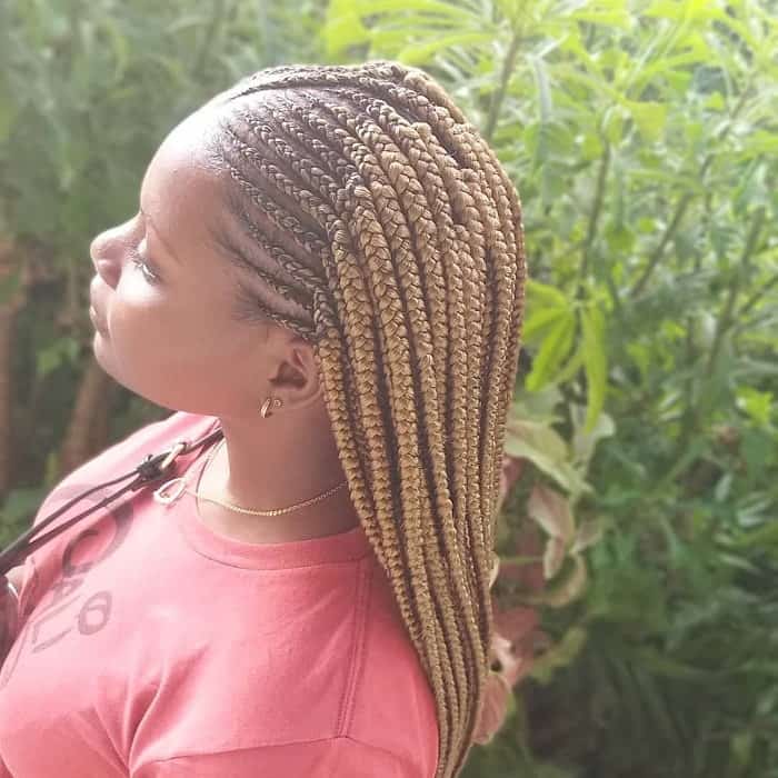 marley braids with highlights