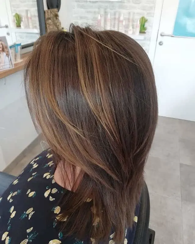 medium layered brown hair with highlights