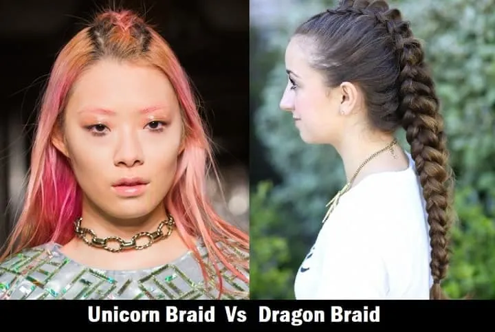 unicorn and dragon braids