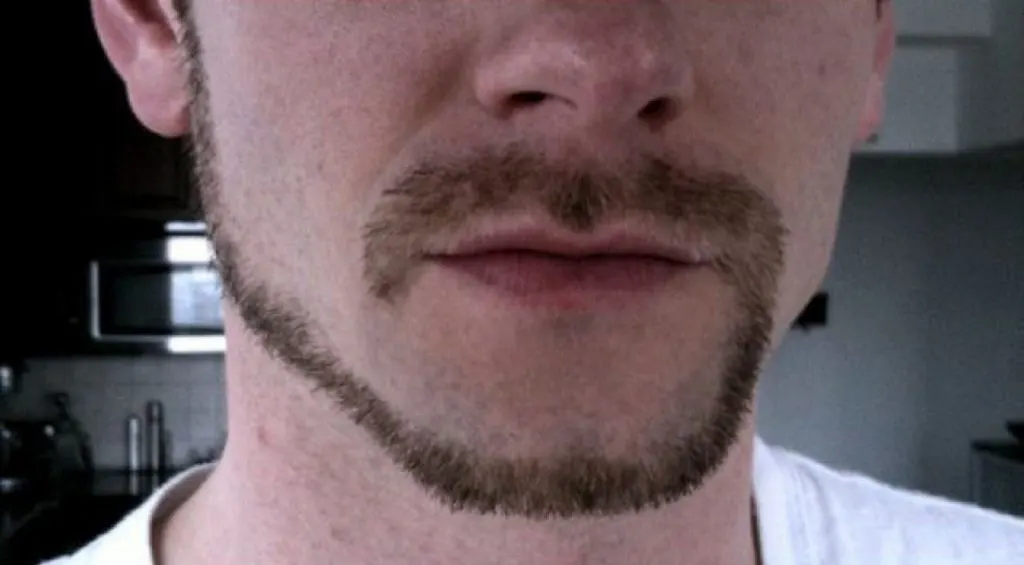 Chinstrap Monkey Tail Beard