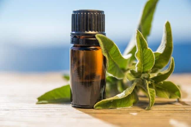 sage oil for oily type of hair
