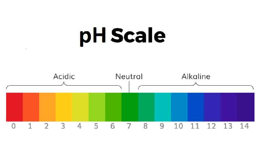 Ph Scale For Hair