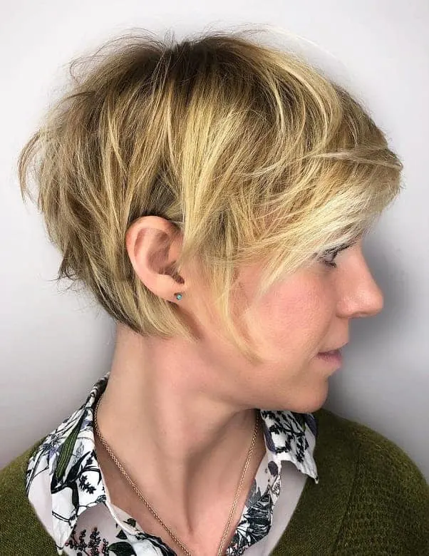 Pixie Bob with Highlights