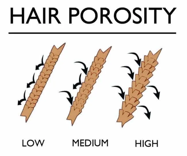 degrees of porosity