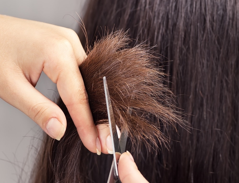 preparation before coloring porous hair - trim hair
