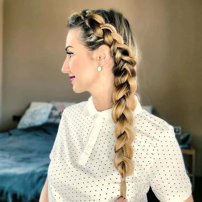 professional braided hairstyle