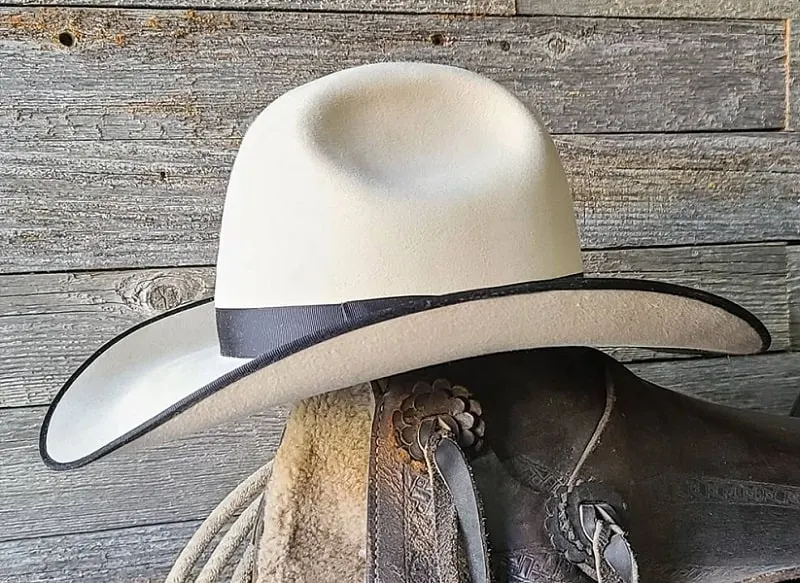 13 Types of Cowboy Hats With Pictures (Style in 2024) – Hairstyle Camp