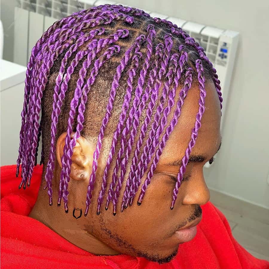purple twists hair for men