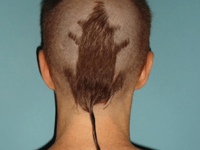 Rat Splat hairstyle for men